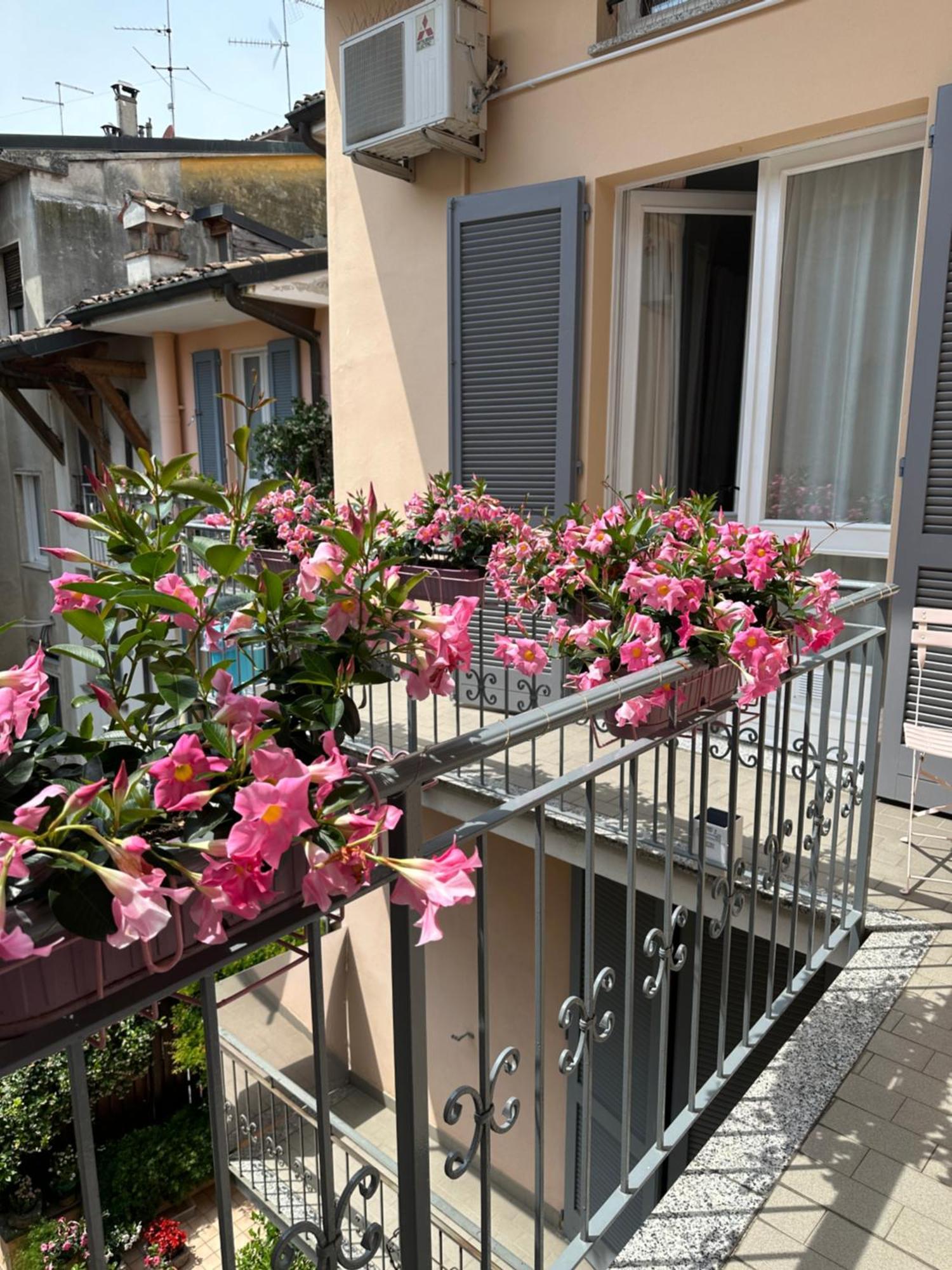 D-Place Apartment Piazza Duomo Crema Exterior foto